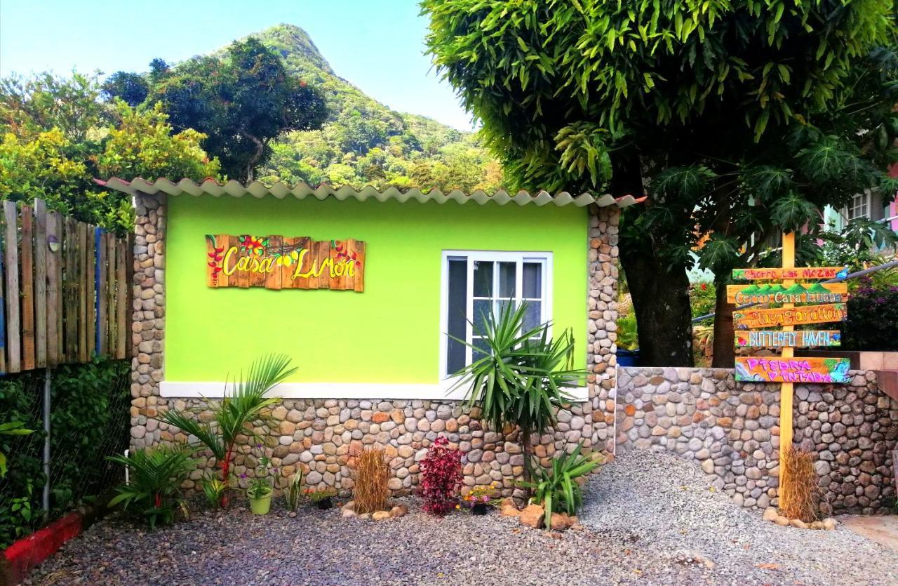 El Valle de Anton Casa India Dormida 빌라 외부 사진